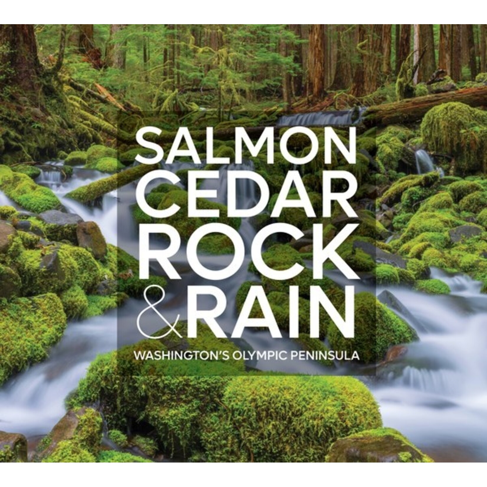 Salmon, Cedar, Rock & Rain