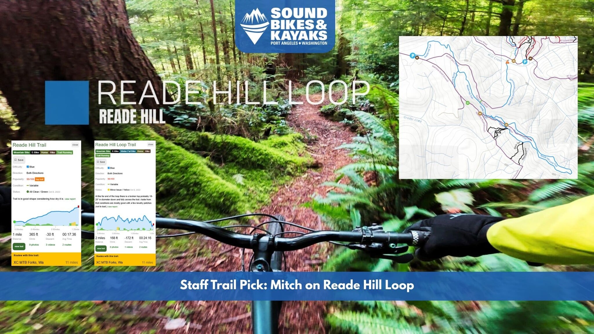 Staff Pick: Reade Hill Loop Trail | Forks Washington