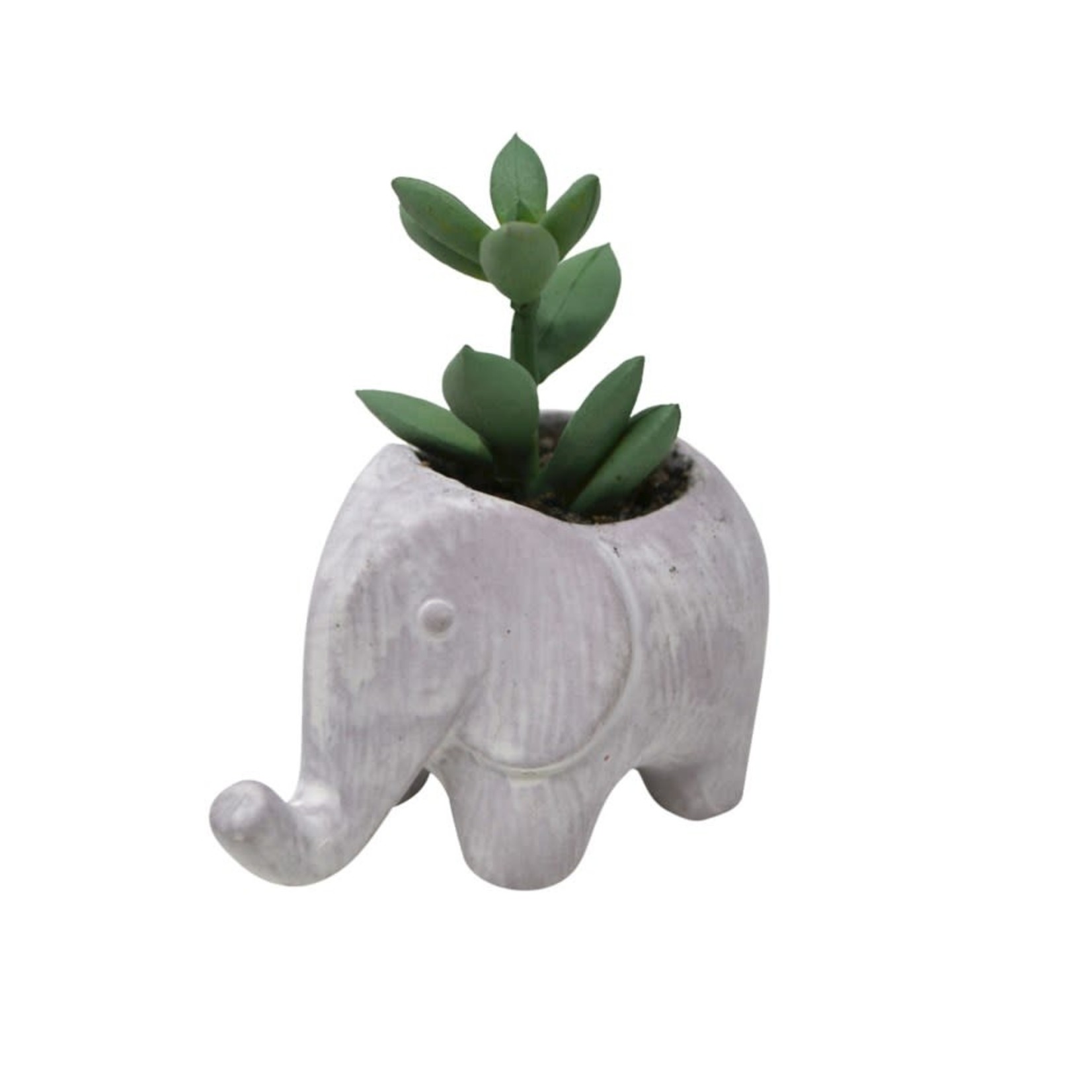 Elephant Plant Pot
