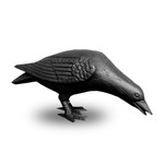 Cast Iron Crow - Head Down