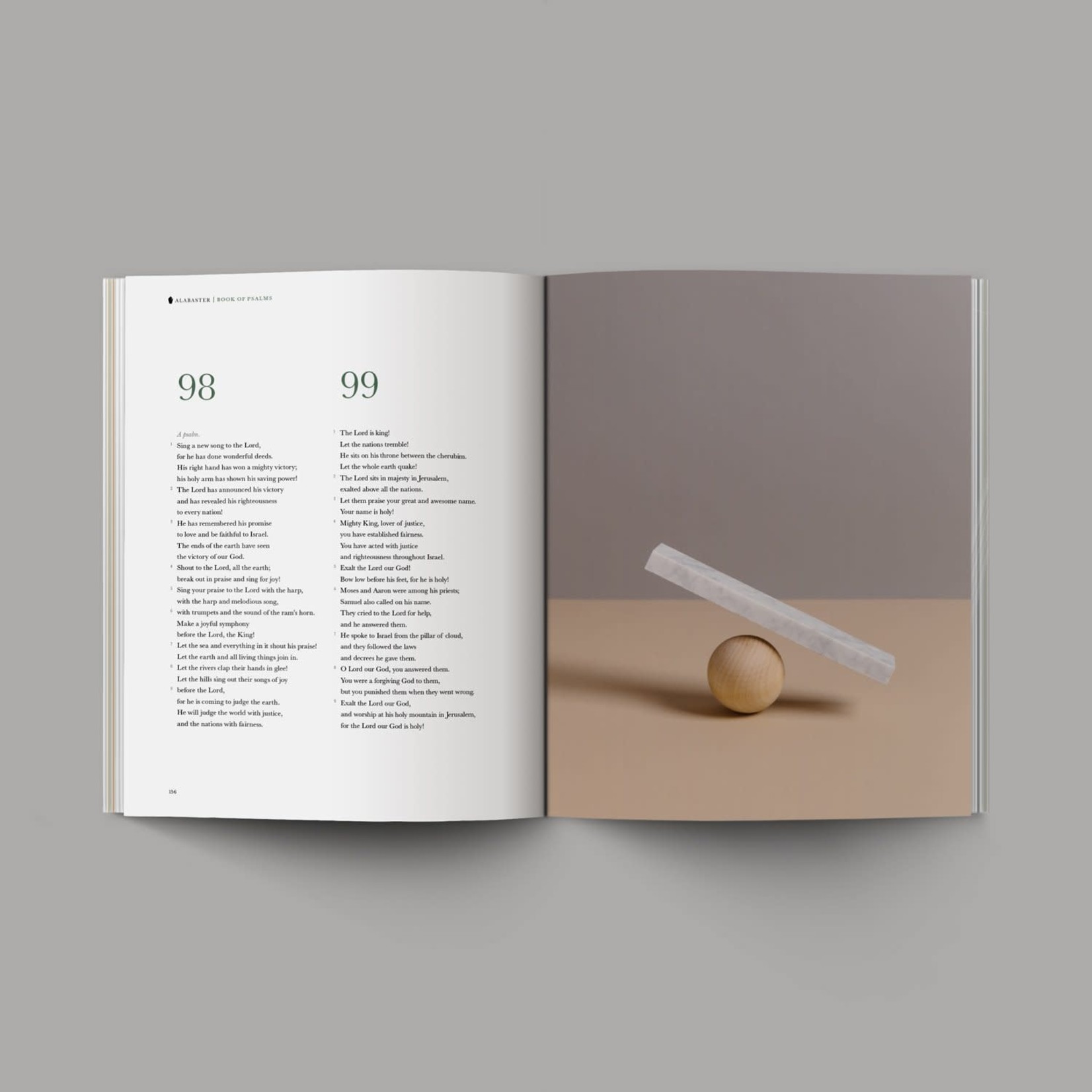 Alabaster Bibles Alabaster Bible - Book Of Psalms - NLT