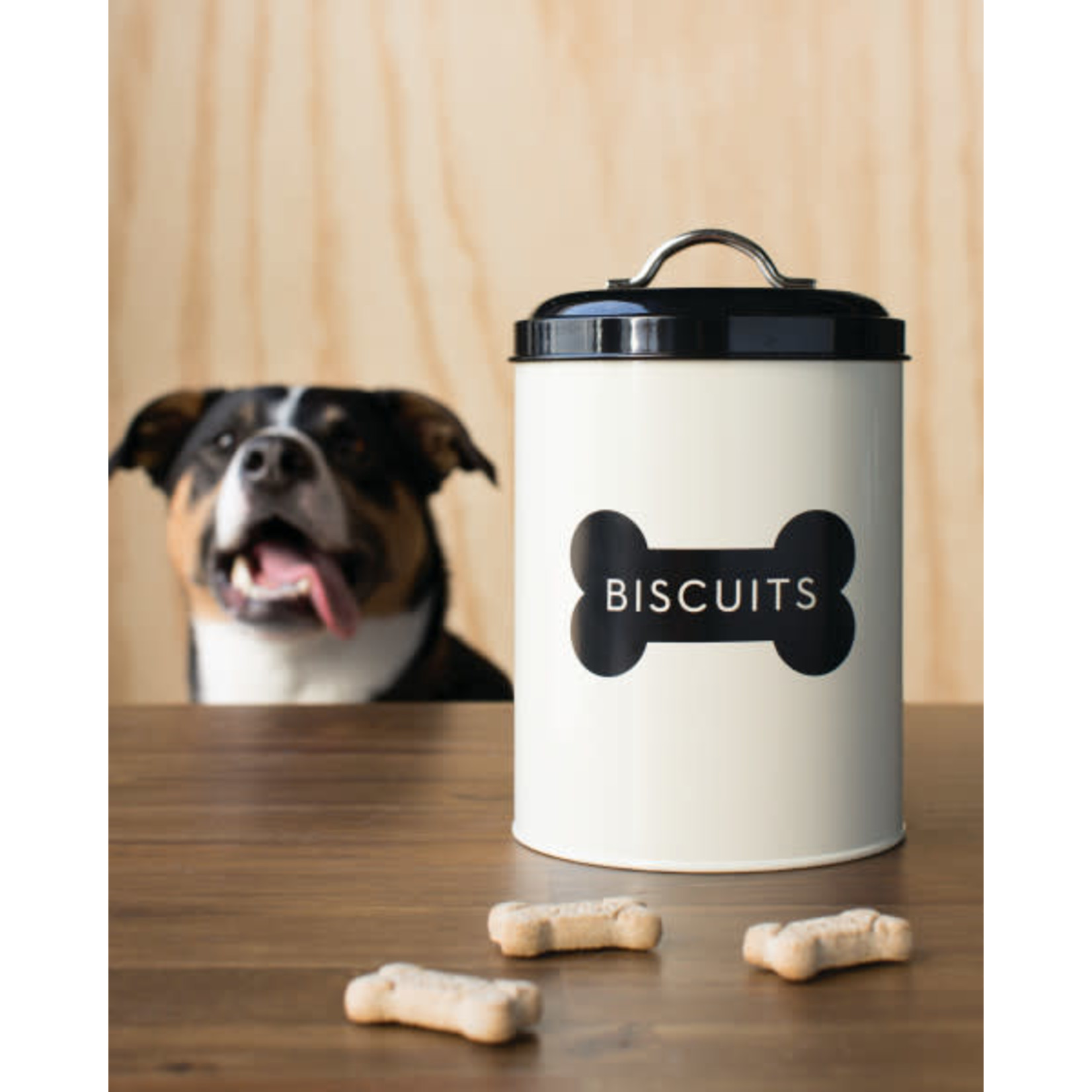 Danica Studios Dog Biscuit Tin - Ivory