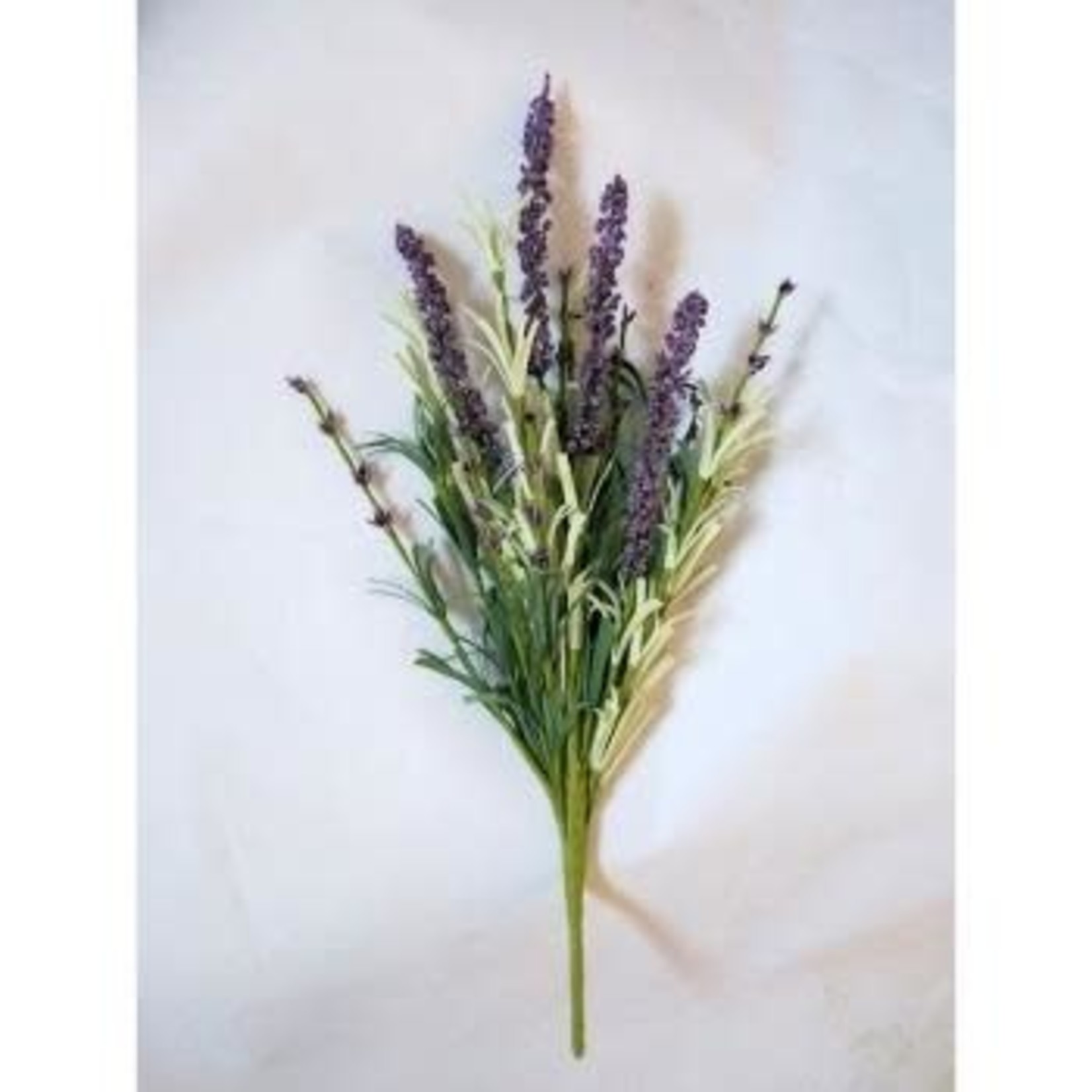 Lavender - Spray
