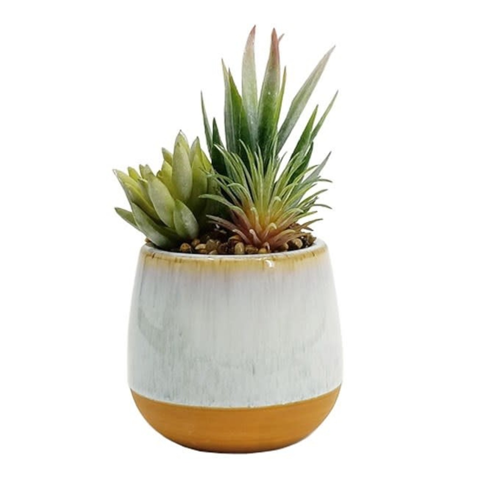Ceramic Planter With Succulent