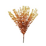 Yellow & Red Eucalyptus Branch