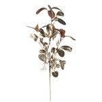 Gold Mistletoe Spray