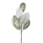 Green & Silver Leaves Pick