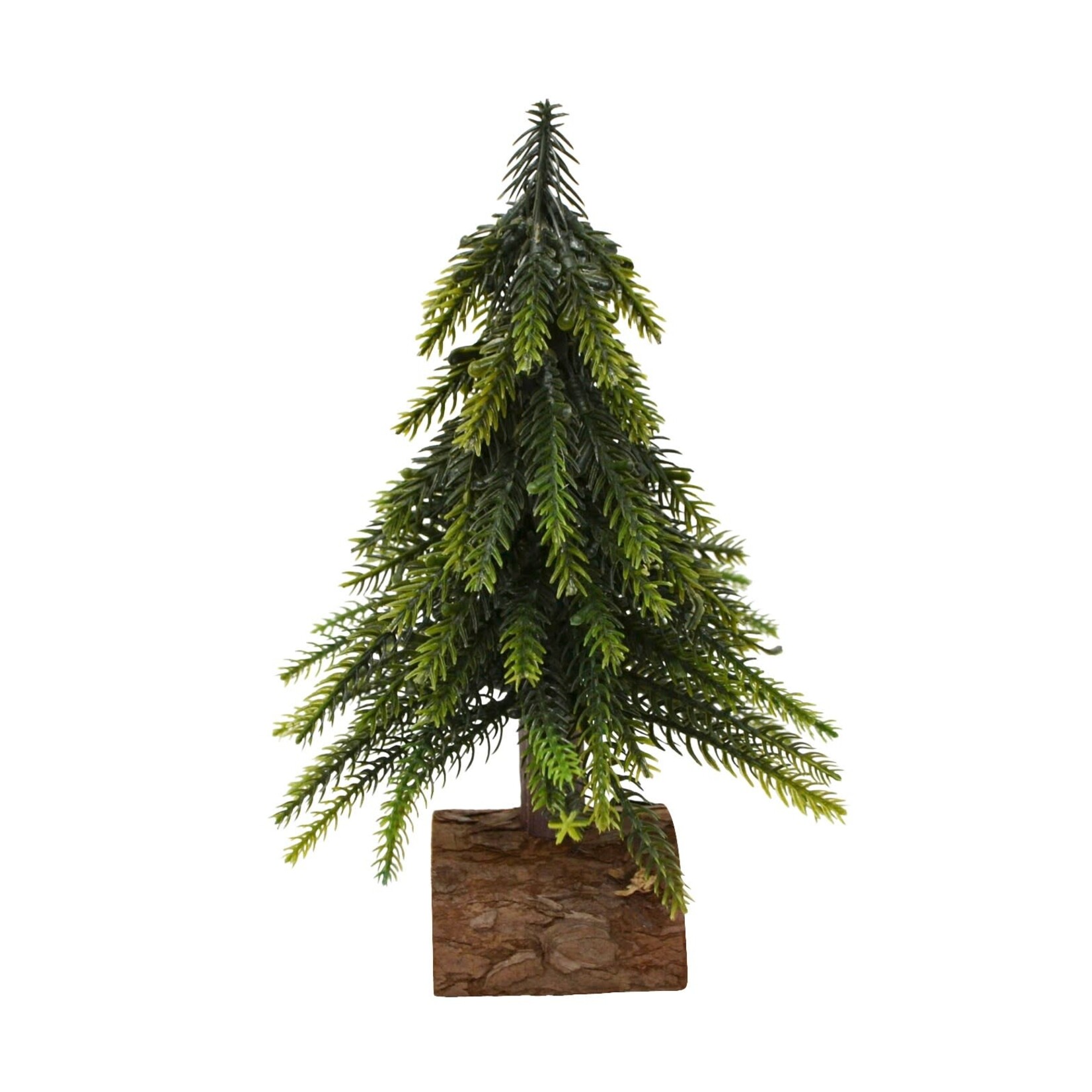 Green Fir Tree