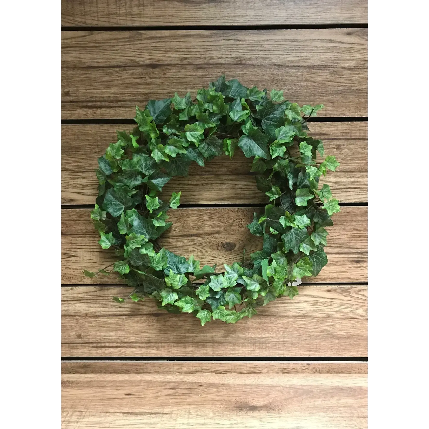 TWI - Frosted Green English Ivy Wreath - 14"