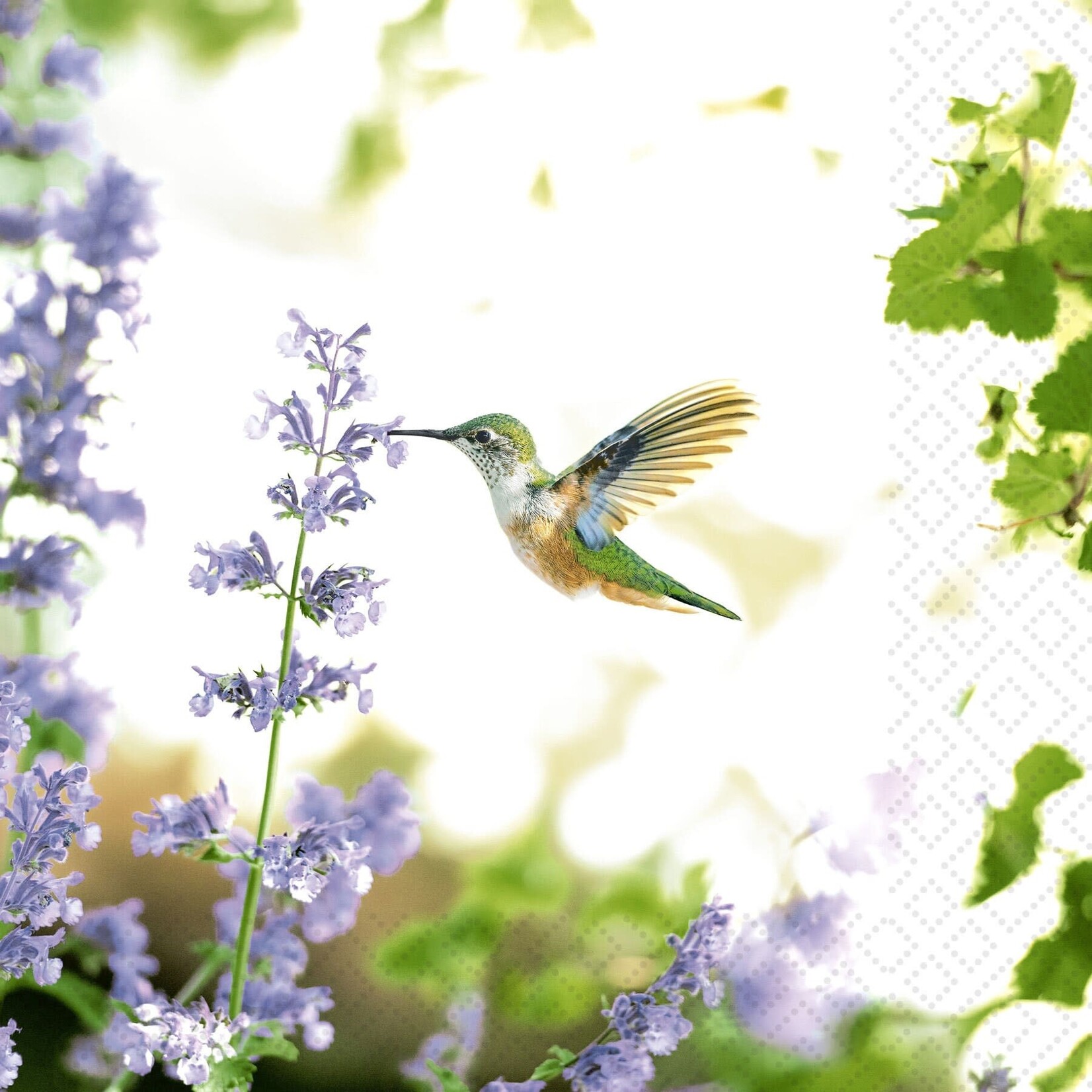 Kolibri - Luncheon Napkin