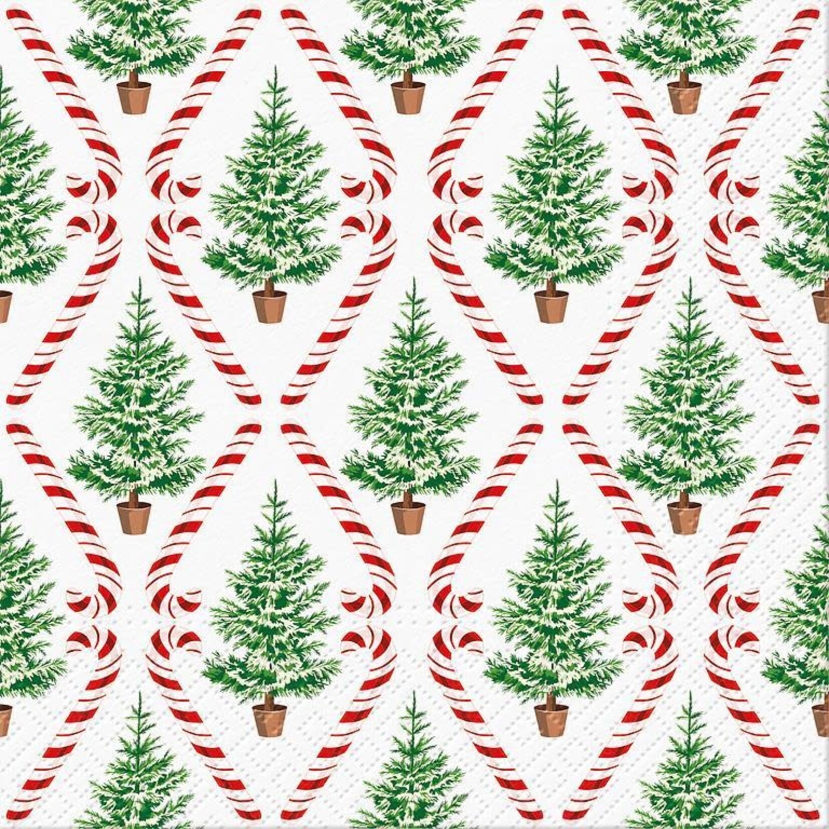 Large Candy Cane Forest Napkins - 20Pk
