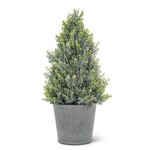 Cedar Look Potted Cone Tree