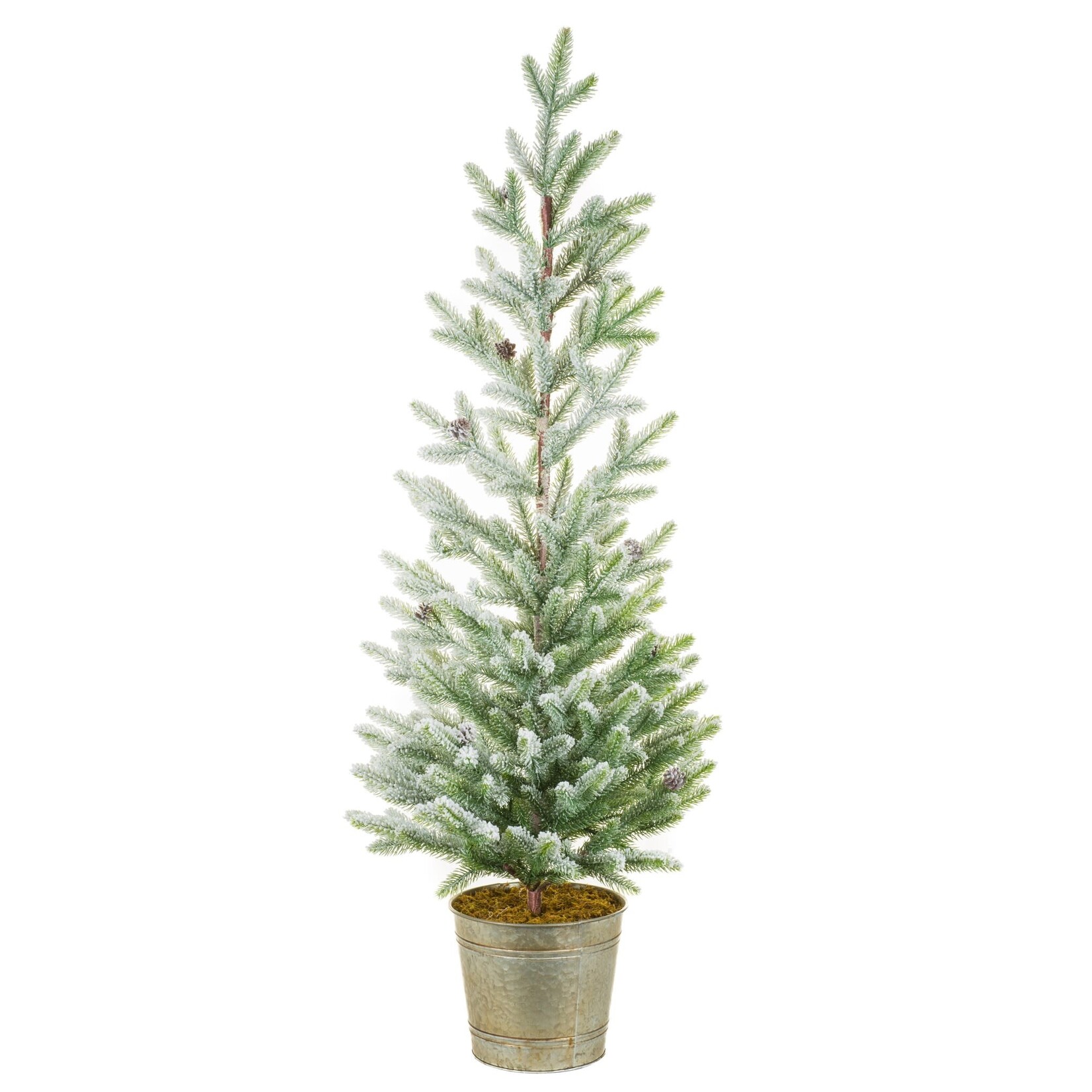 Flocked Green Spruce Tree