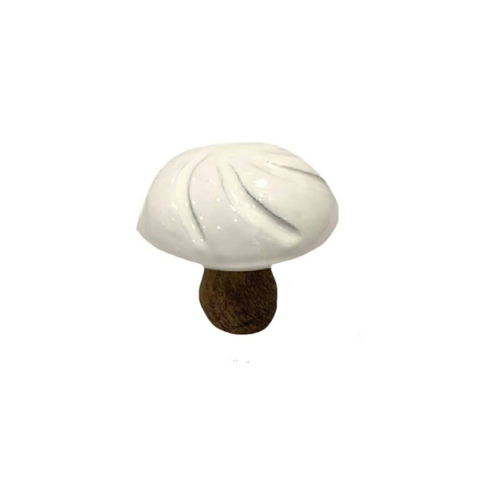 White Enamel Mushroom