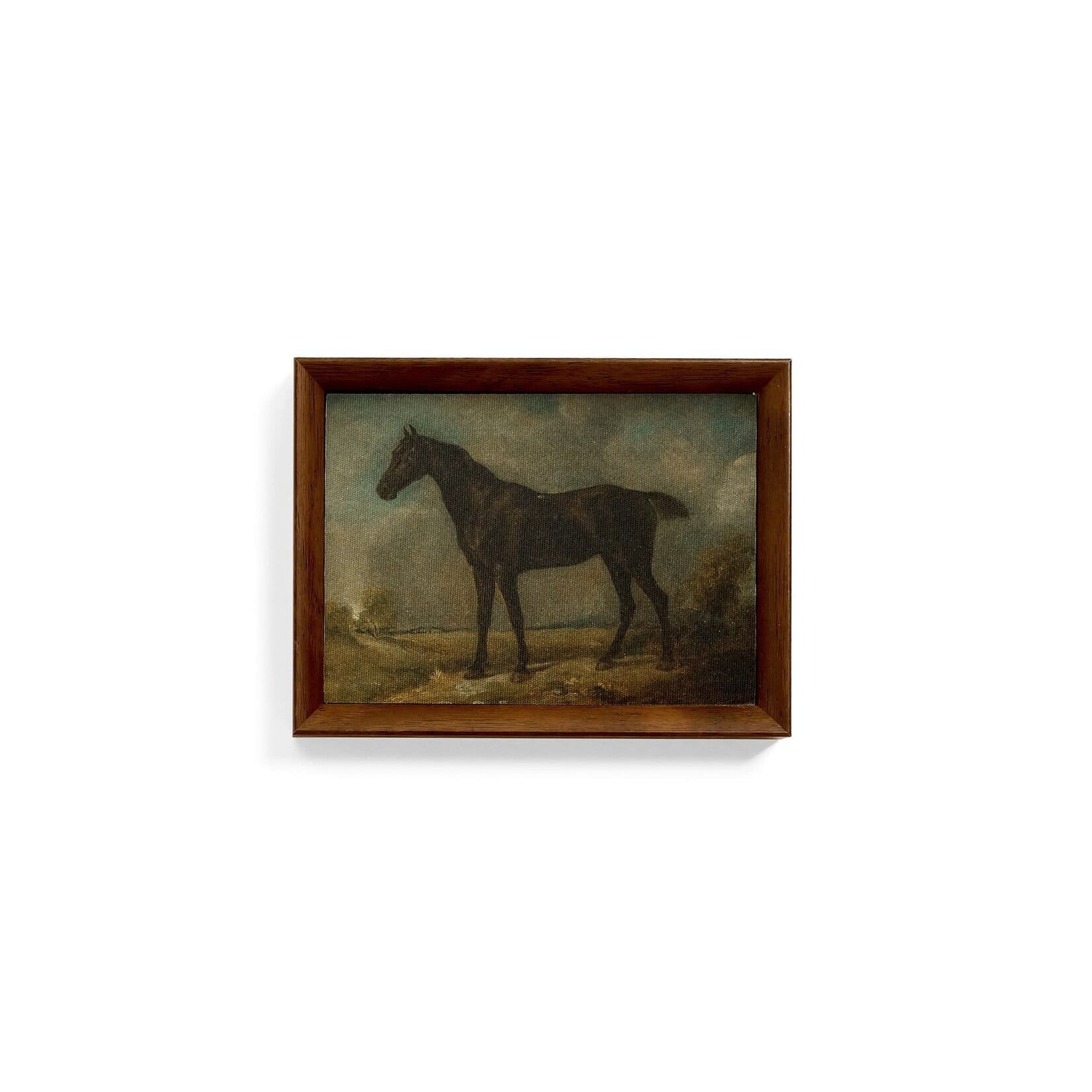 Accents De Ville Horse Print Wall Art
