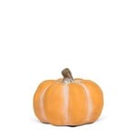Yellow Low Pumpkin