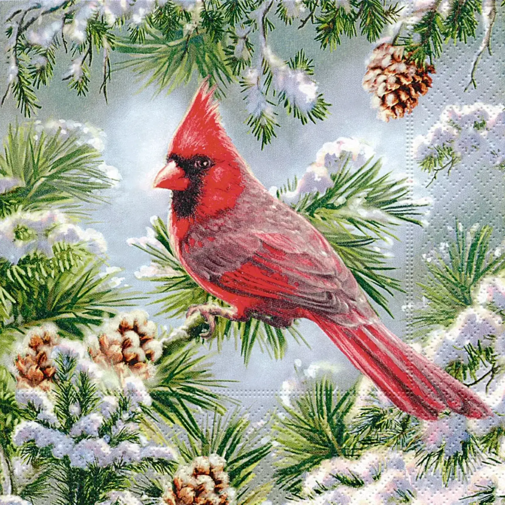 Red Cardinal - Cocktail Napkin