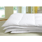 Cuddle Down Micromax Hypoallergenic Queen Duvet