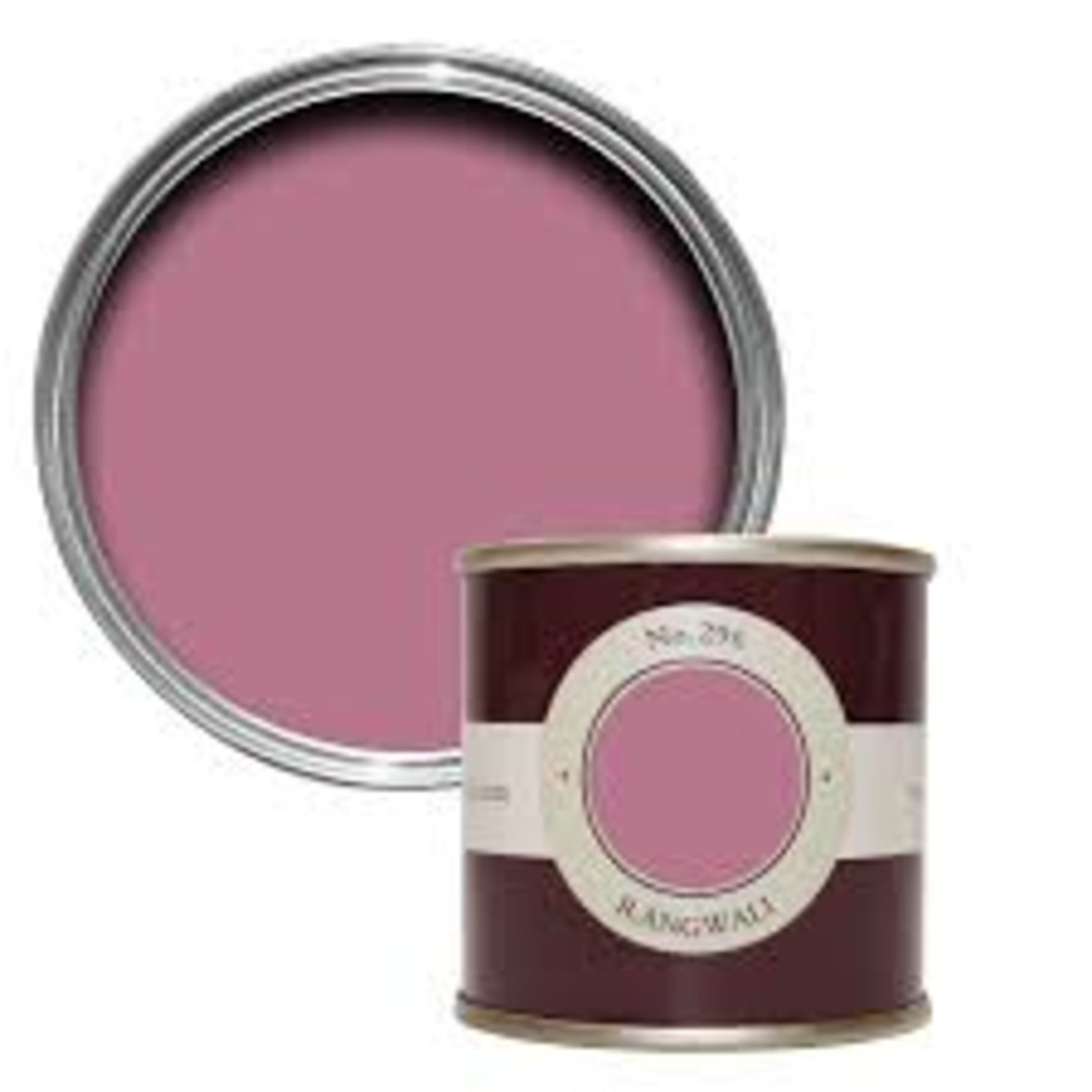 Farrow and Ball 100ml Sample Pot Rangwali No.296