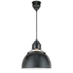 Visual Comfort Eugene Large Pendant Light in Bronze