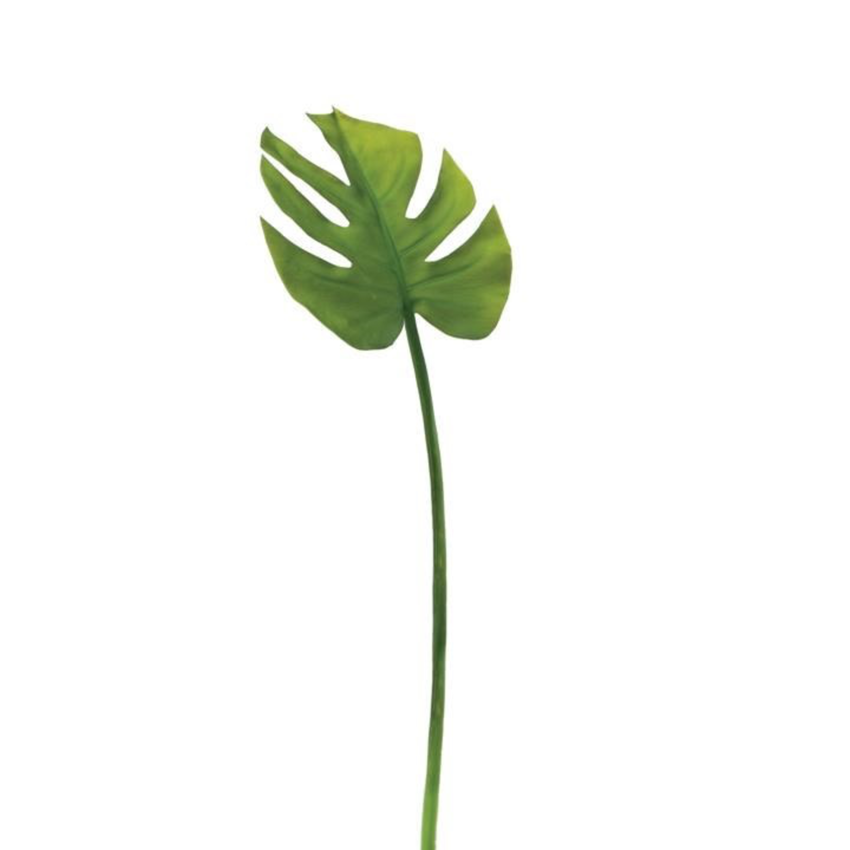 Monstera Leaf 23” Stem