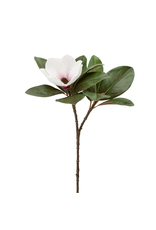 Torre & Tagus Magnolia Bloom Spray 26”