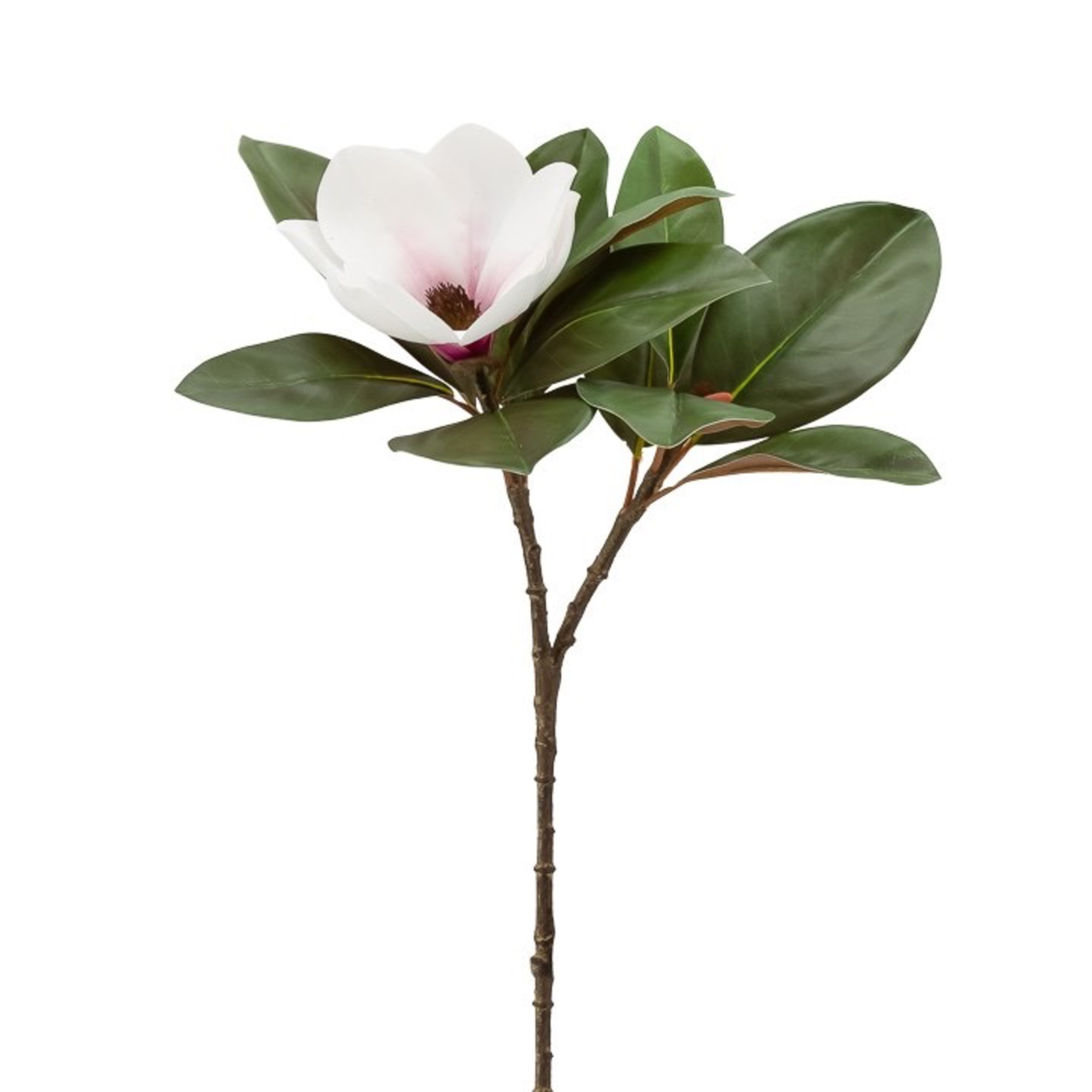 Magnolia Bloom Spray 26”