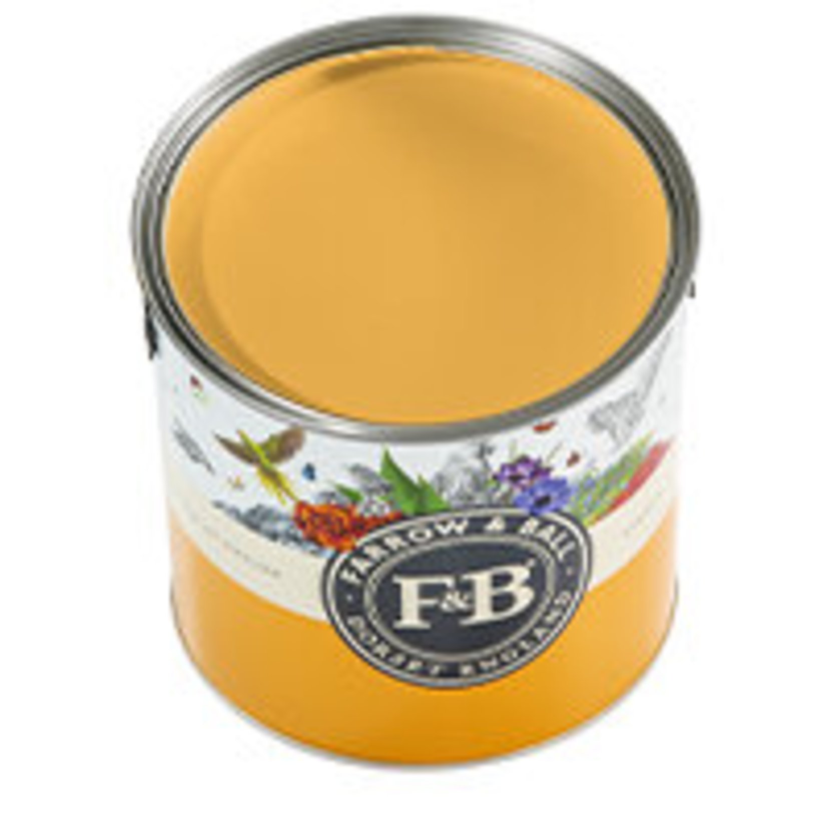 Farrow and Ball US Gallon Modern Emulsion Dutch Orange No.W76