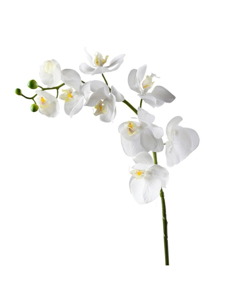 Torre & Tagus Orchid Stem 30”