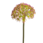 Buddleia Bloom 26” PInk S