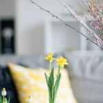 INSPIRING DECORE CHANGES FOR SPRING