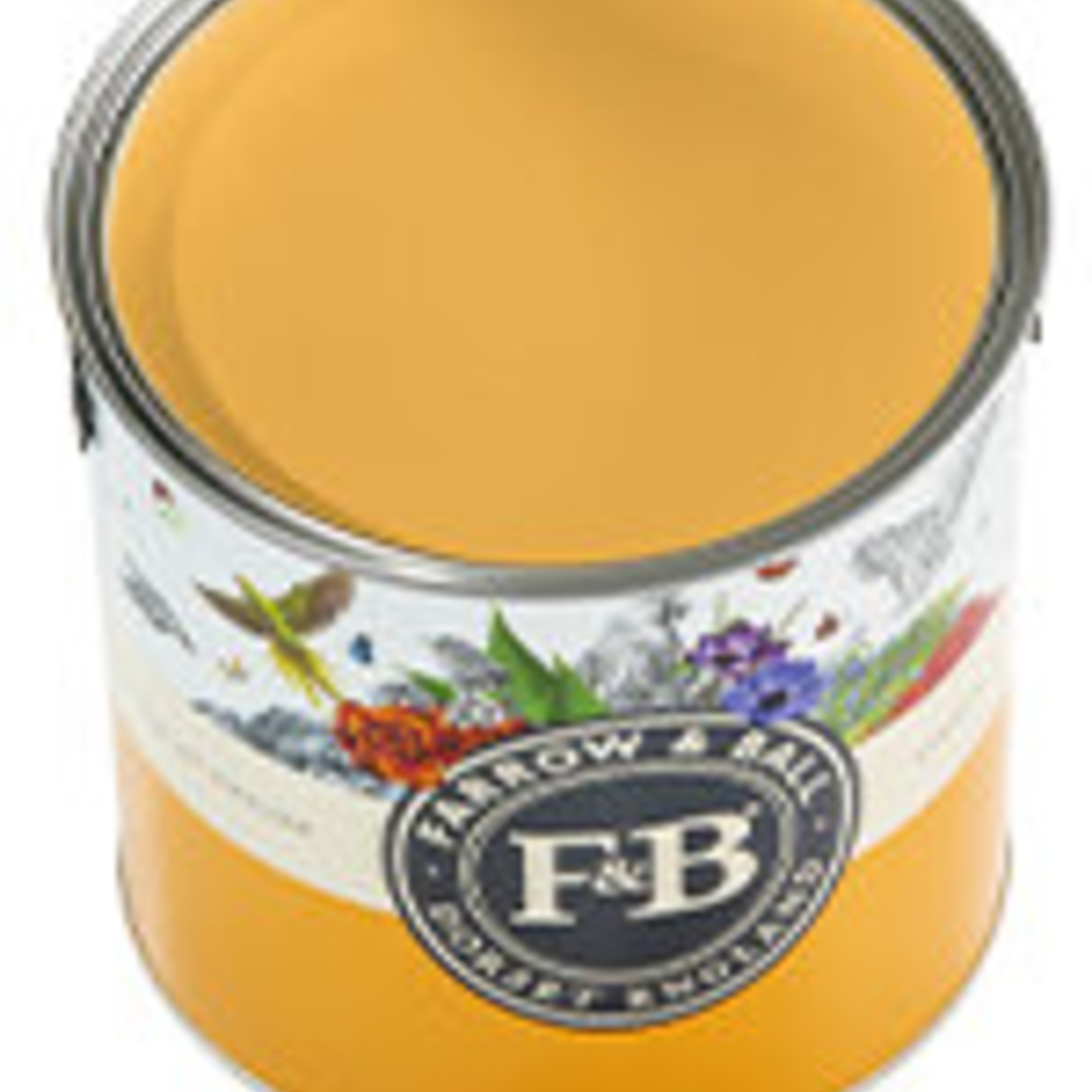 Farrow and Ball US Gallon Modern Eggshell Dutch Orange No.W76