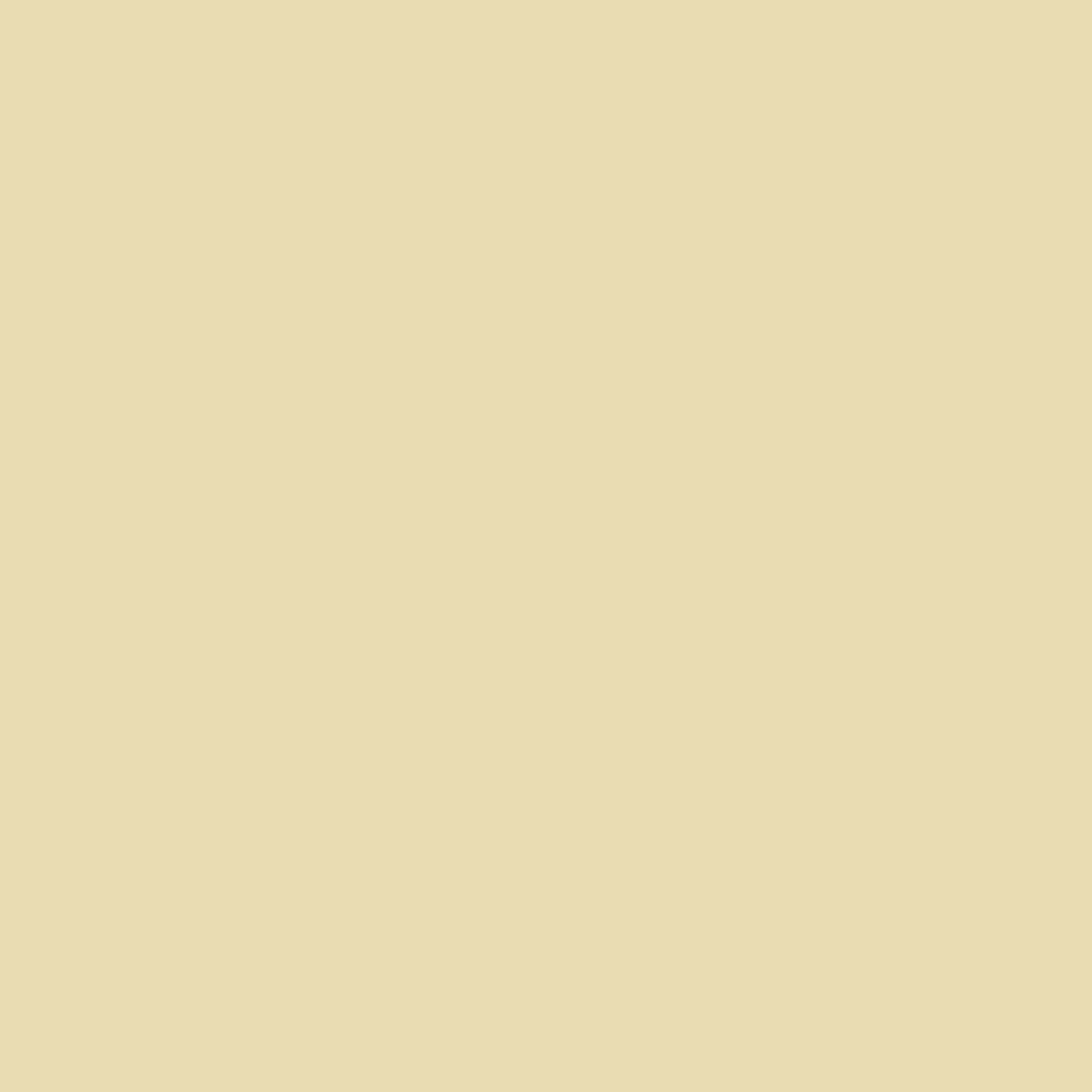 Farrow and Ball 750ml Modern Eggshell Fawn No. 10
