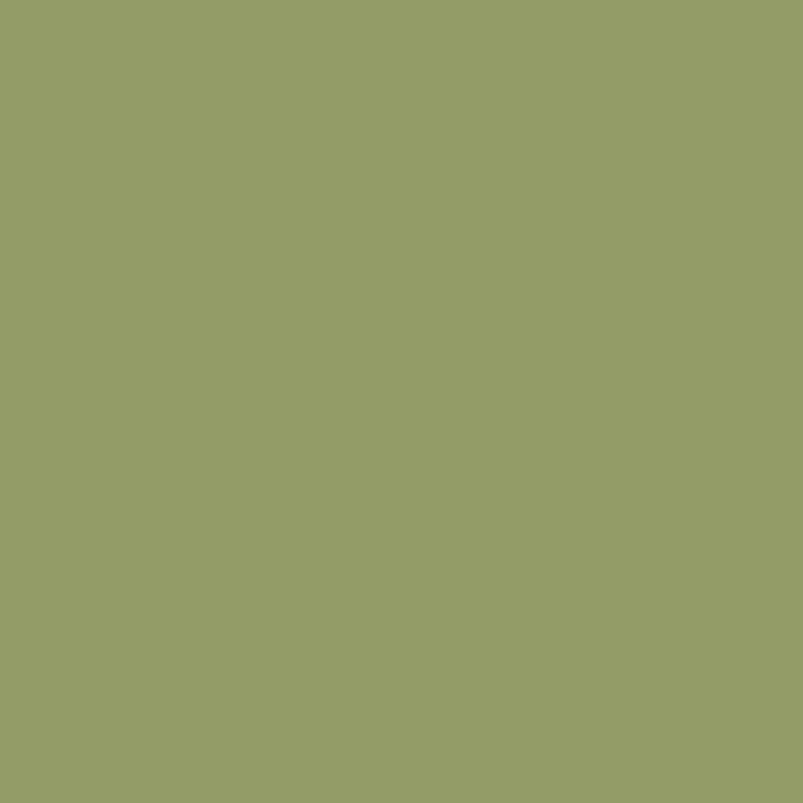 Farrow and Ball 750ml Exterior Eggshell Olive No. 13