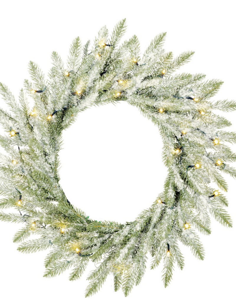 Modus Lifestyle Brewer wreath led Battery Operated green frosted 30L TIPS 176 - d60cm