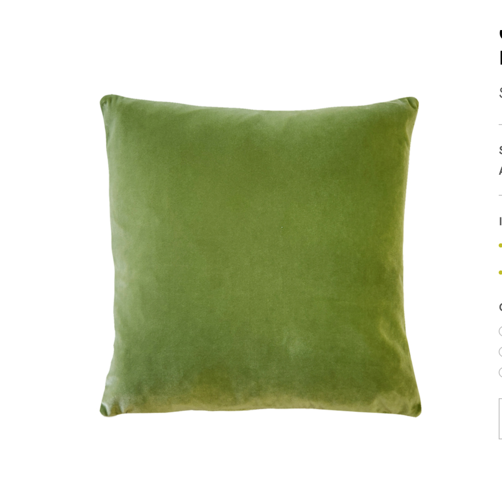 Castello Summer Green Velvet Throw Pillow 20 x 20 Cover