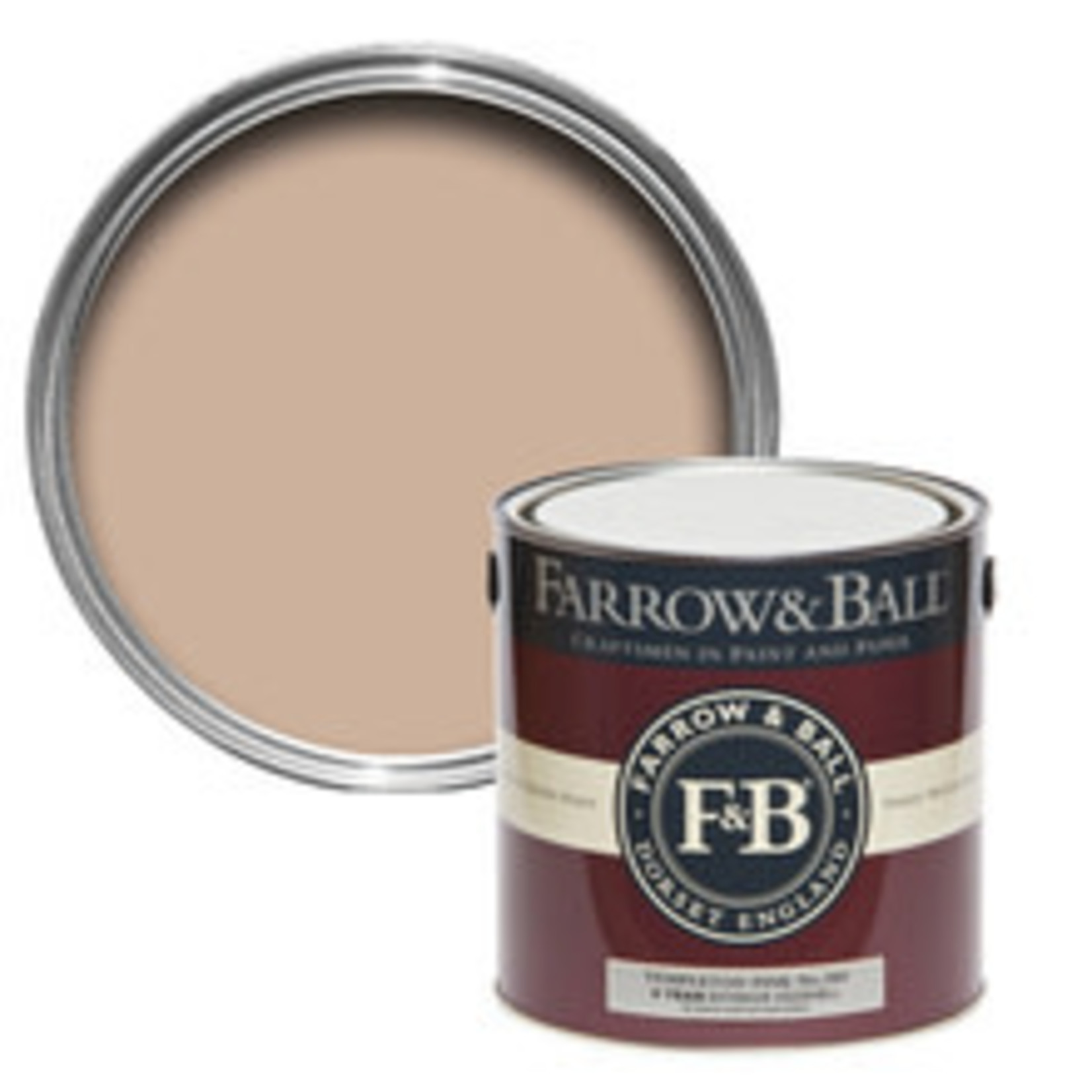 Farrow and Ball US Gallon Exterior Eggshell Templeton Pink No.303