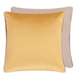 DG Velluto - Alchemilla - Cushion 20"  X 20"