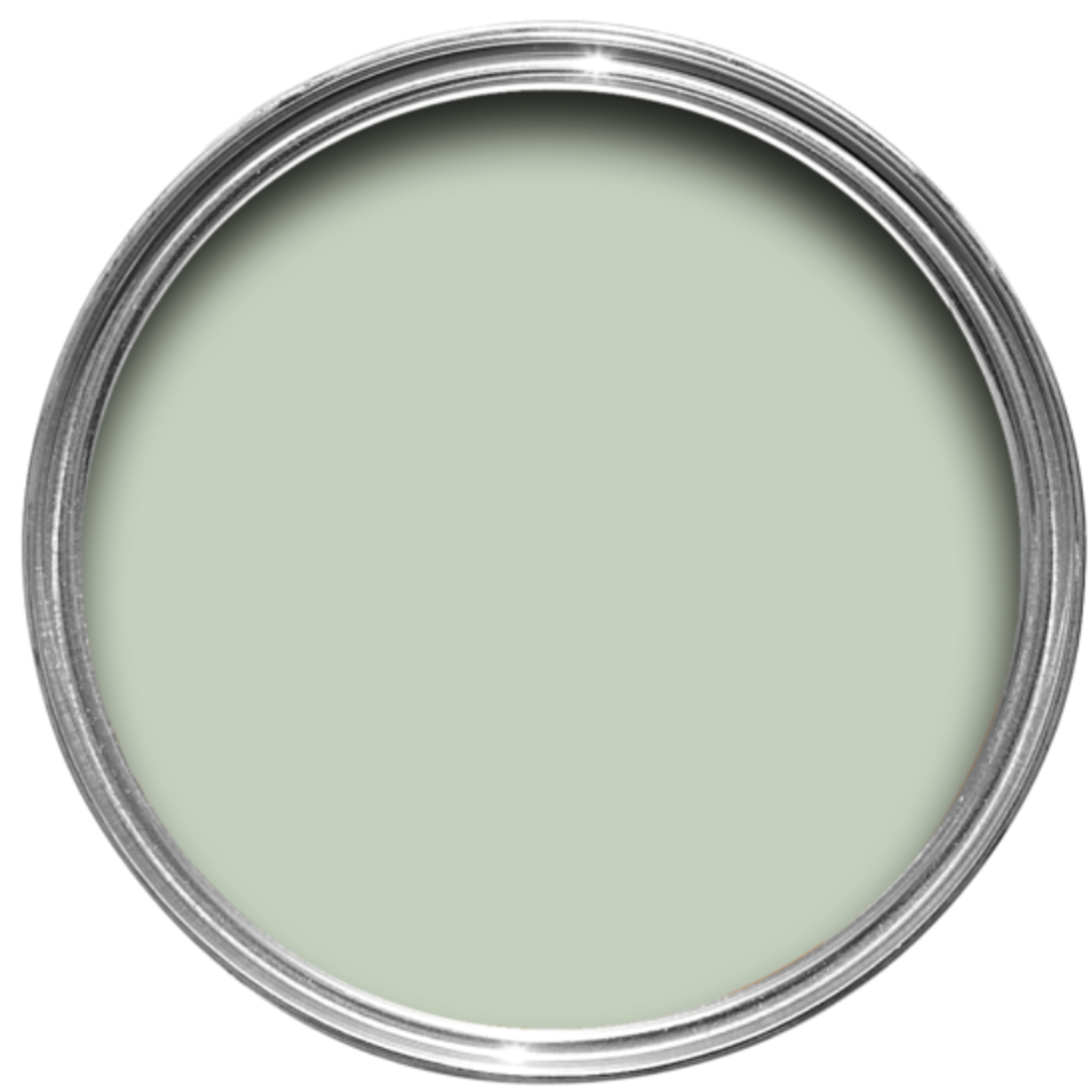 Farrow and Ball US Gallon Dead Flat Palm No CC4