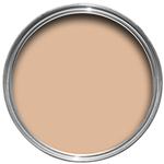 Farrow and Ball US Gallon Dead Flat Faded Terracotta No CC8