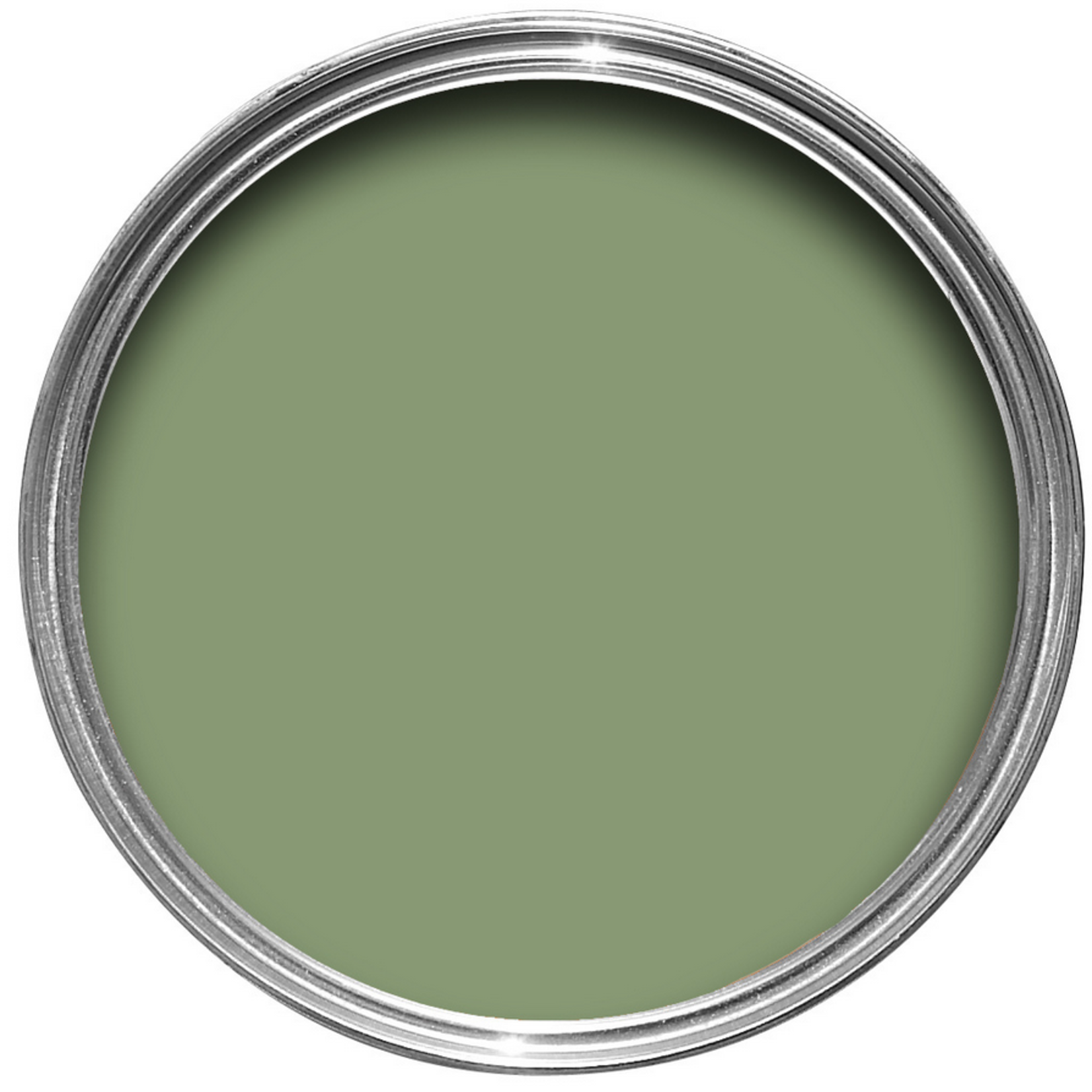 Farrow and Ball Gallon Exterior Masonry Yeabridge Green No.287