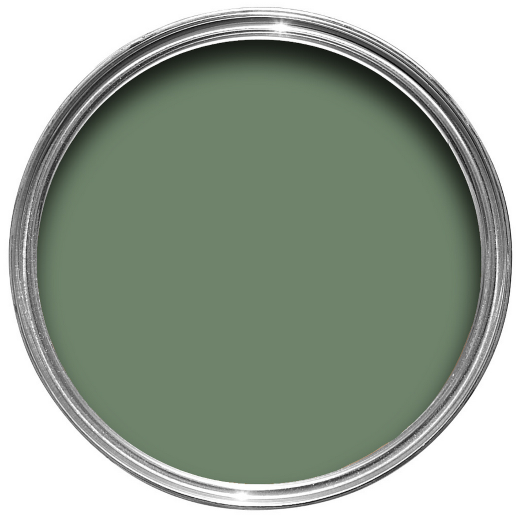 Farrow and Ball 750ml Dead Flat Calke Green No 34
