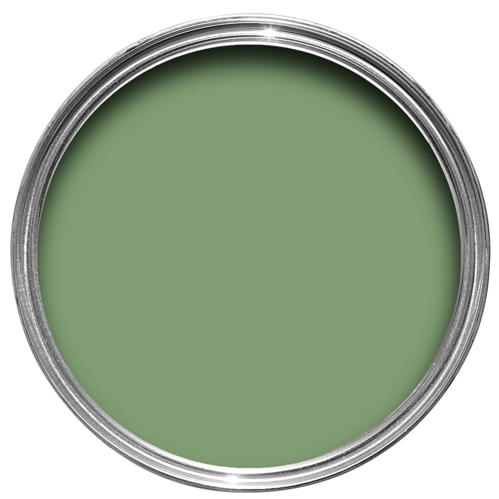 Farrow and Ball 750ml Dead Flat Folly Green No 76