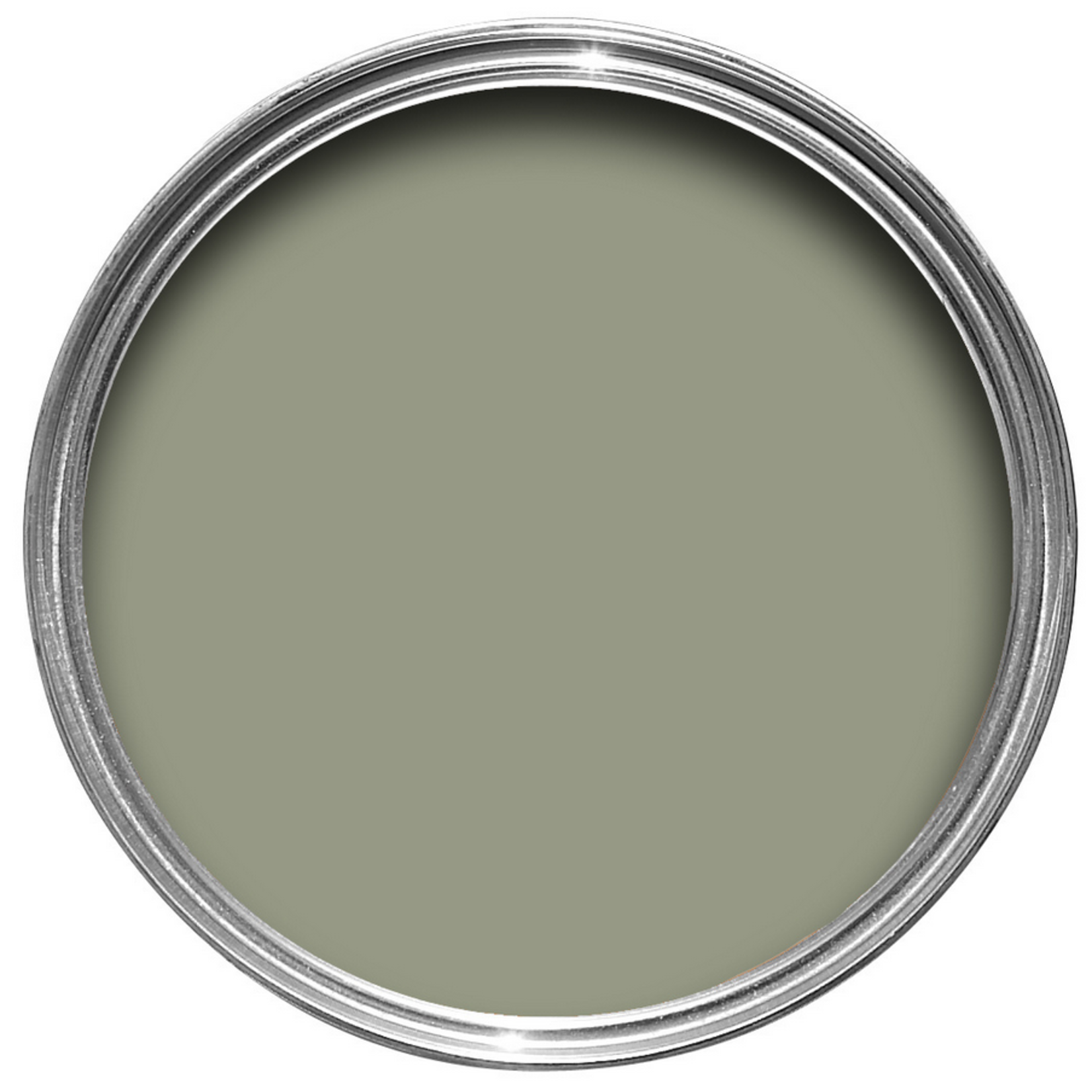 Farrow and Ball 750ml Dead Flat Lichen No 19