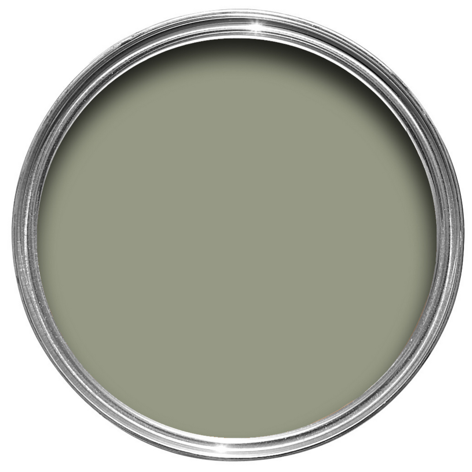 Farrow and Ball 750ml Dead Flat Lichen No 19