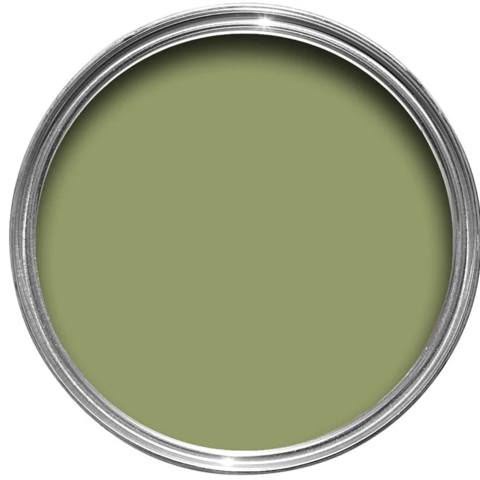 Farrow and Ball 750ml Dead Flat Olive No 13