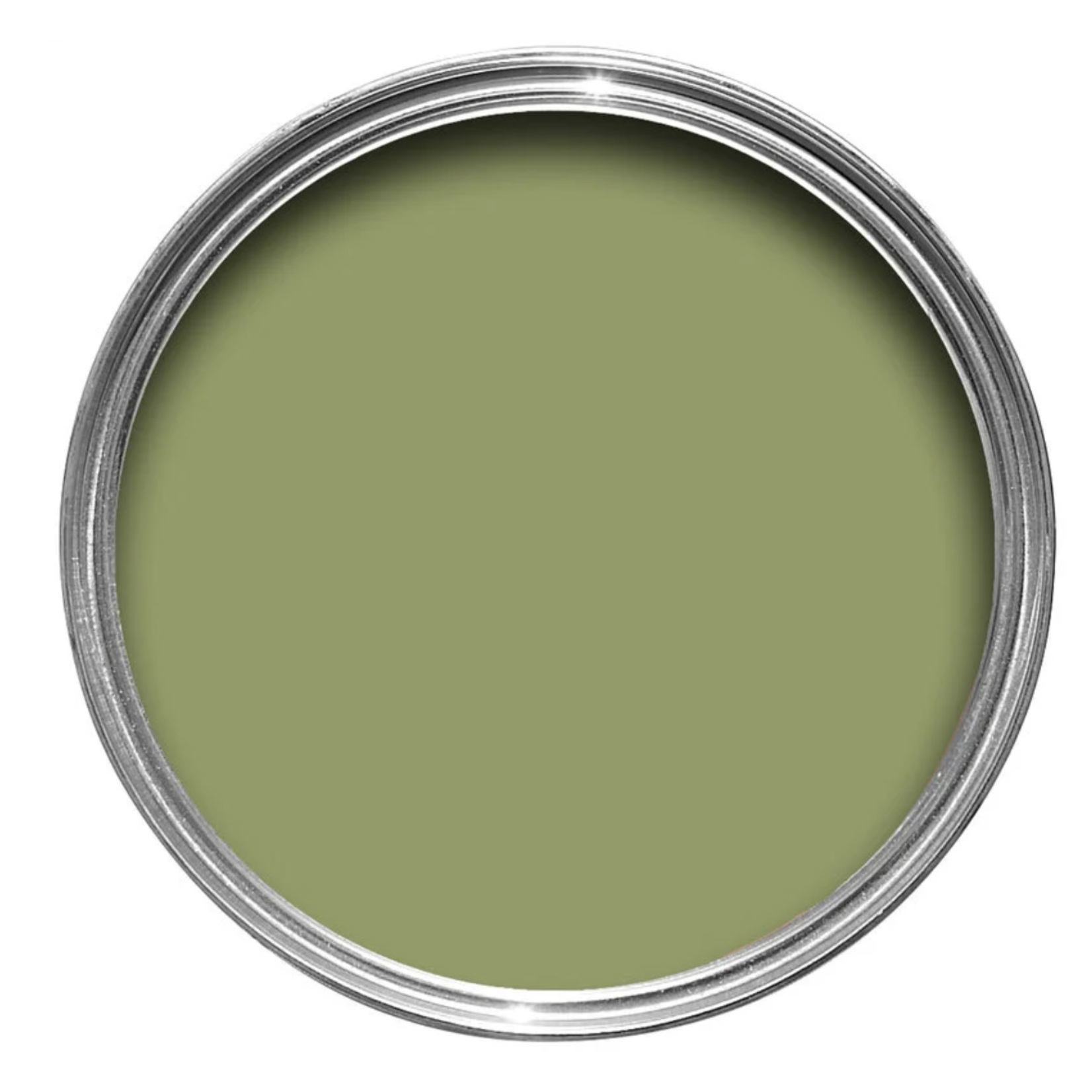 Farrow and Ball 750ml Dead Flat Olive No 13