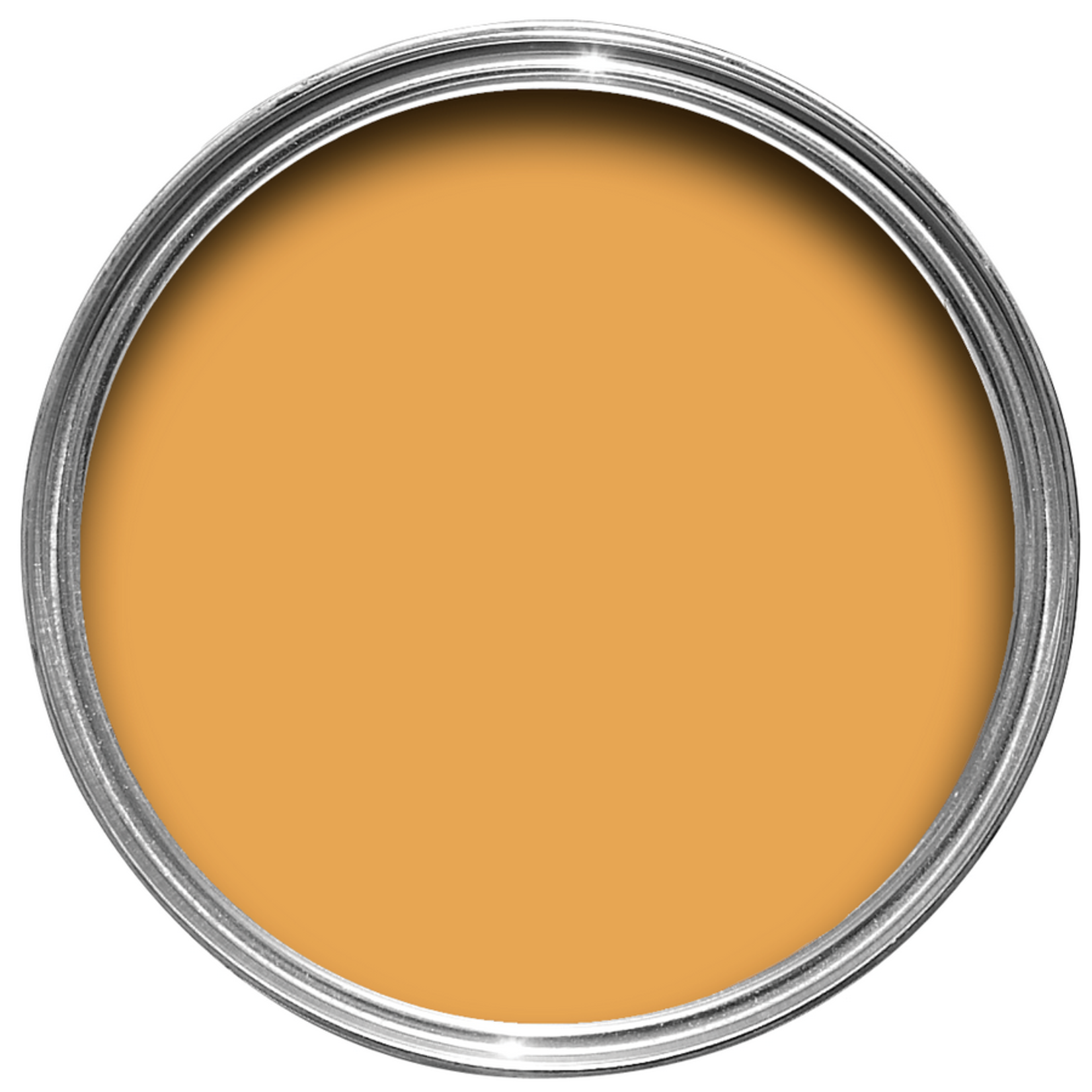 Farrow and Ball 750ml Dead Flat Orangery No 70