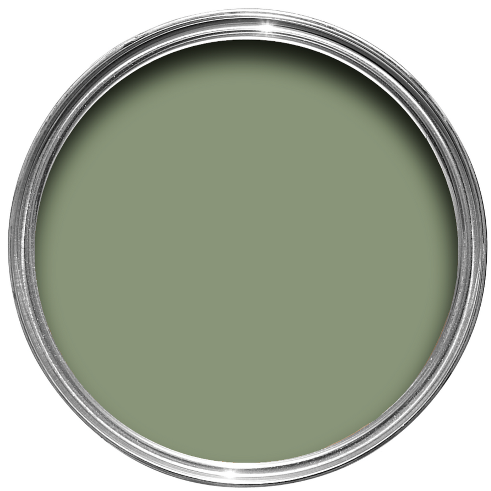 Farrow and Ball 750ml Dead Flat Sutcliffe Green No 78