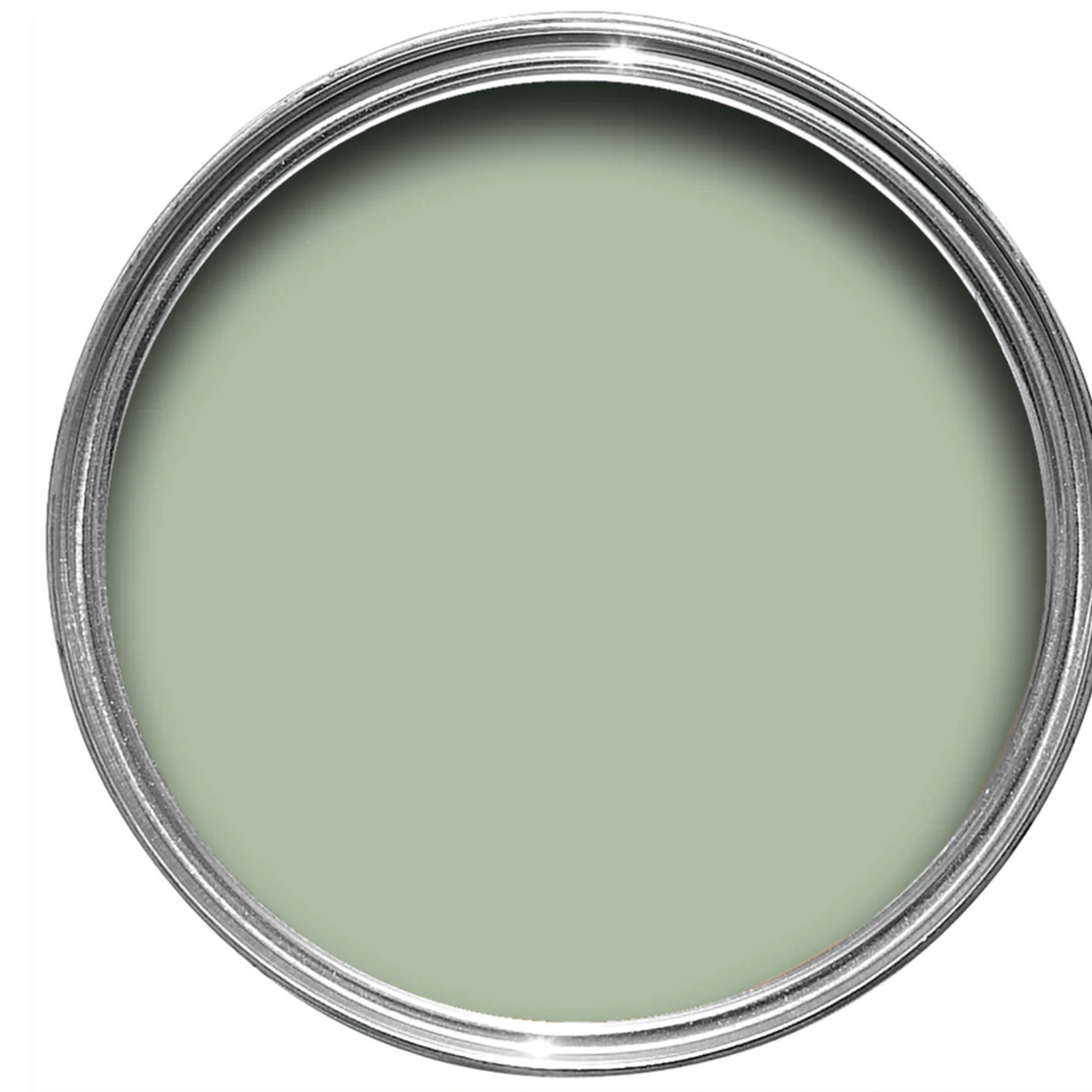 Farrow and Ball 750ml Dead Flat Whirlybird No 309
